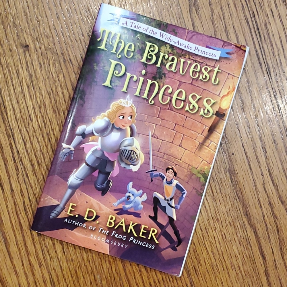 The Bravest Princess Book